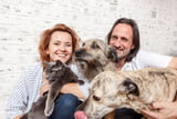 Ist die Haltung von Hund und Katze ein Garant für mehr Zufriedenheit Studie klärt auf